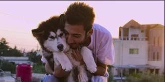 Cartel de Bravo, Zeus !