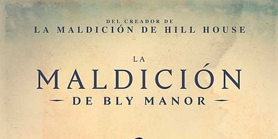 Cartel de Los amigos de los amigos