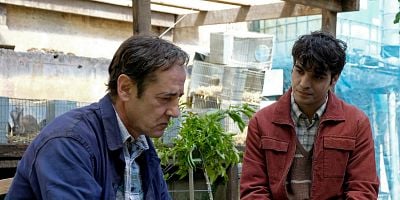 Cartel de Pan ensangrentado