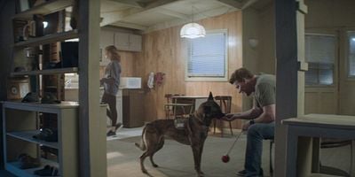 Cartel de The New Normal