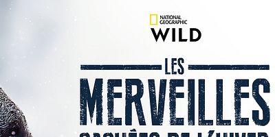 Cartel de America's Frozen Frontier