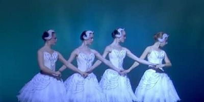 Cartel de Perfección