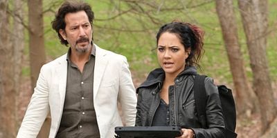 Cartel de Golden Lancehead + Venom + Pole Vault + Blood + Baggage