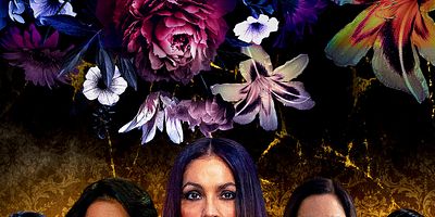 Cartel de Women Who Run with the Wolves