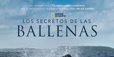 Cartel de Orca Dynasty