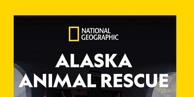 Cartel de Fly Like an Eagle