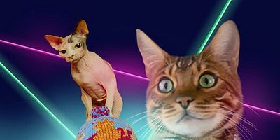 Cartel de Cat Rappers Delight