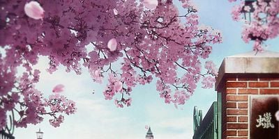 Cartel de Akogare no Sērāfuku