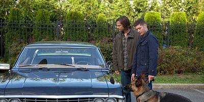 Cartel de Dog Dean Afternoon