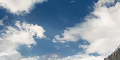 Cartel de Pilots And Nurses And Bears, Oh My!