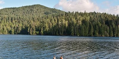 Cartel de Fire and Rain