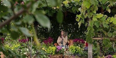 Cartel de Bombshells