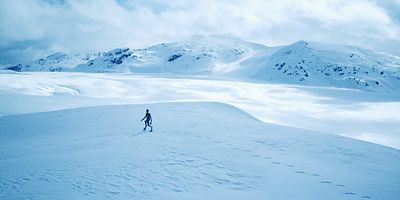 Cartel de The Alien Within