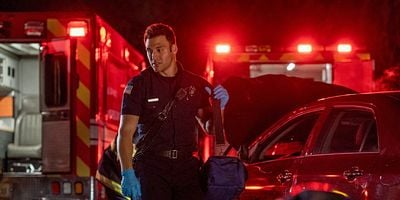 Cartel de Animal Instincts