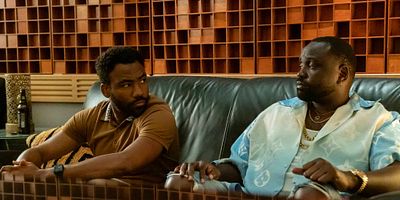 Cartel de Light Skinned-ed