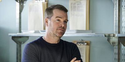 Cartel de Sensu Lato