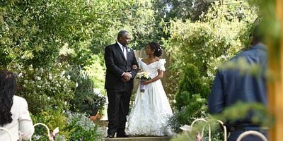 Cartel de Wedding Bell Blues