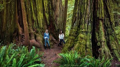 Este mapa te permite ver de un vistazo dónde se rodaron los lugares ficticios que hemos visto en las películas noticias imagen