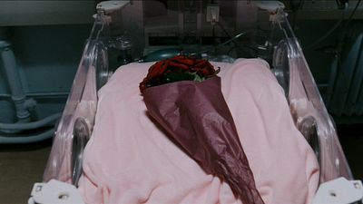 Sólo dura hora y media, está en SkyShowtime y es la película de Cronenberg que todo al que no le guste el terror debería ver noticias imagen