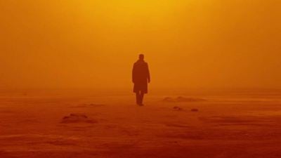 "Era una forma preciosa de terminar mi carrera": Denis Villeneuve sabía que estaba arriesgando todo con esta película pero aún así la hizo