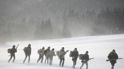 5 películas que Harvard recomienda a sus estudiantes: no son grandes éxitos ni obras incuestionables noticias imagen