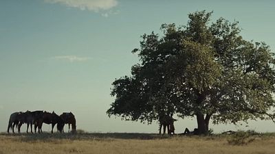 Regresa la serie del universo 'Yellowstone' mejor valorada por los críticos: primer episodio ya disponible en SkyShowtime noticias imagen