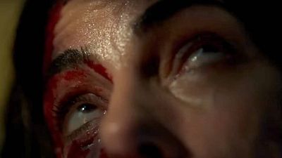 "¿Da miedo? Joder, sí. Especialmente si odias las arañas": Cuidado, aracnofóbicos, se estrena vuestra nueva pesadilla noticias imagen