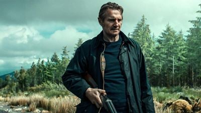 "La mejor película de Liam Neeson en años" se queda sin fecha de estreno en España, pero arrasa en críticas