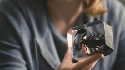 El regalo de Tom a Shiv que avisaba del final de 'Succession' y nunca nos dimos cuenta noticias imagen