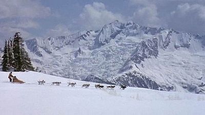 Hoy en 'streaming': una película de aventuras con un ganador del Oscar que brilla con imágenes de la naturaleza increíblemente bellas noticias imagen