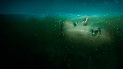 4 años después de su cancelación, esta serie policíaca ha aparecido por sorpresa en Netflix y está siendo todo un éxito noticias imagen