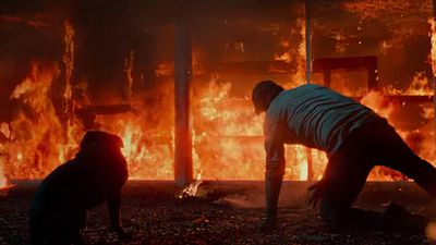 Nadie daba un duro por ella, pero es una de las sagas de acción más taquilleras: Sus cuatro entregas suman más de mil millones de dólares noticias imagen