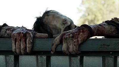 Los fans de 'The Walking Dead' pasaron 12 años creyendo que esto era un agujero de guion, pero la explicación llegó con la temporada final noticias imagen