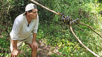 "La peor mordedura de víbora posible" provoca que Frank Cuesta termine en el hospital noticias imagen