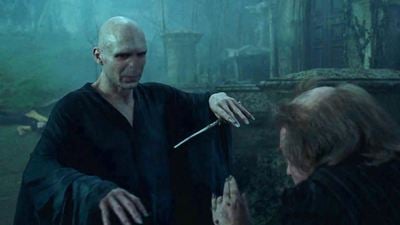 La petición de Ralph Fiennes para ser Voldemort en 'Harry Potter' para meterse de lleno en el personaje