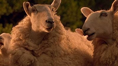 Es una de las mejores películas infantiles de la historia, pero estuvo prohibida durante un año a causa de motivos religiosos noticias imagen