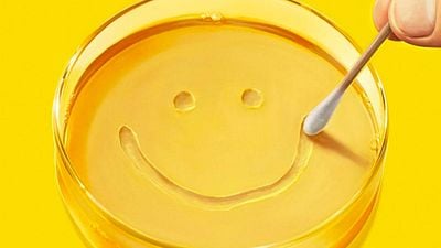 Tras construir el mejor universo thriller de la historia de la televisión, vuelve con una serie que no te dejará indiferente: “No hay crimen ni metanfetamina” noticias imagen