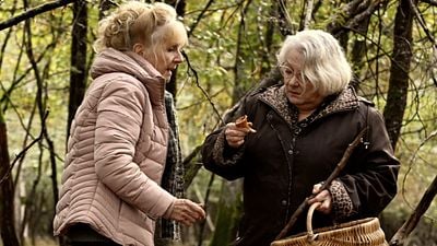 "Vivimos en una sociedad absolutamente obsesionada por la juventud": 'Cuando cae el otoño', la amistad entre mujeres invisibles en el cine noticias imagen