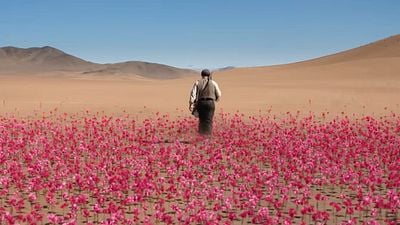 Mañana llega a Prime Video la adaptación de un libro que ha vendido millones de ejemplares y se ha traducido a 40 idiomas noticias imagen