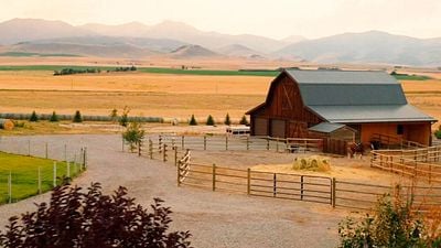 La próxima serie del universo 'Yellowstone' comienza en pocos meses, pero hay malas noticias para otros 'spin-off' de la serie 'western' noticias imagen