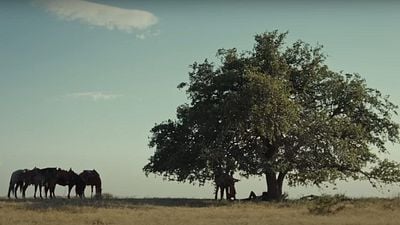 Hoy termina la que probablemente es la mejor serie 'western' en emisión: 5,3 millones de espectadores en directo frente al televisor noticias imagen