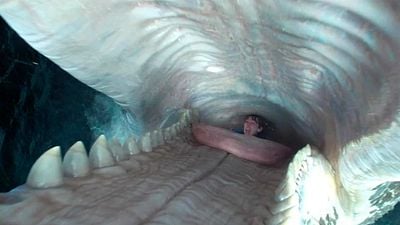 Shane Gero, biólogo experto en ballenas, sobre 'Whalefall':  "Los estómagos no han evolucionado para mantener con vida lo que contienen" noticias imagen