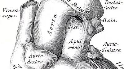 Hace dos años que terminó una de las mejores series de médicos de los últimos años: ahora su creador y protagonista trabajan en un nuevo proyecto noticias imagen