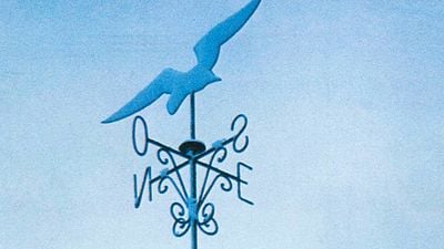 El mejor director español solo tiene tres películas y, de manera excepcional, dos de ellas se podrán ver en cines en septiembre noticias imagen