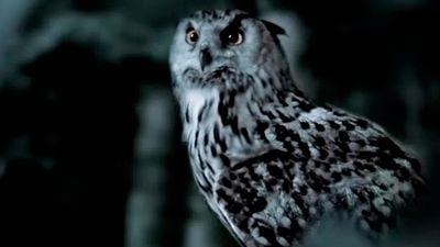 En 2018 me obsesioné como nunca con este crimen real: la serie de ficción que acaba de llegar a Netflix incluye la teoría que el documental pasó por alto noticias imagen