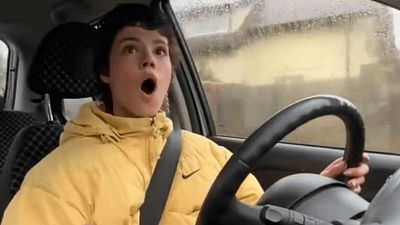 Una 'streamer' atropella un perro en uno de sus directos y es baneada por Twitch al instante noticias imagen