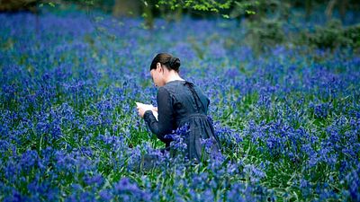 Prime Video tiene una de las mejores películas del siglo: Esta joya del cine está escondida en su catálogo noticias imagen