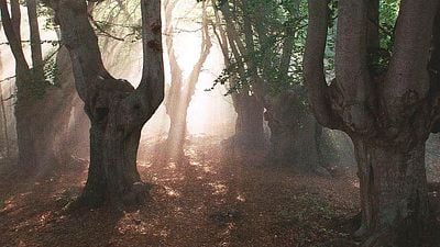 Nadie daba un duro por esta película de fantasía, pero acabó siendo una joya de culto que marcó una generación noticias imagen