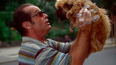 Jack Nicholson rechazó una de las películas más célebres de la historia del cine para protagonizar una que cayó en el olvido noticias imagen