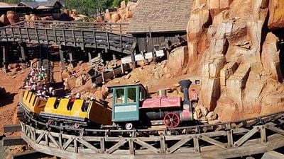 En 2016, un doctor se dio cuenta de que una atracción de Disneyland ayudó al 70% de sus pacientes a expulsar sus cálculos renales noticias imagen